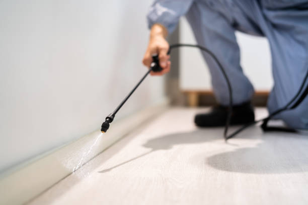 Bed Bug Pre-Treatment Preparation Assessment in Crest