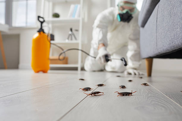 Post-Treatment Bed Bug Interceptor Monitoring in Crest