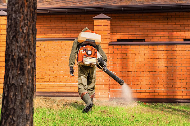 Bed Bug Clearance Verification and Documentation in Crest